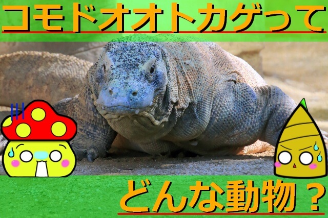 Thumbnail of post image 031